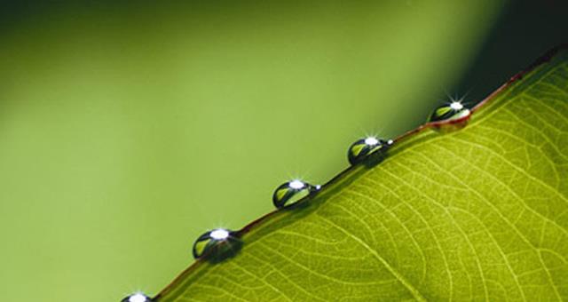 Scopri la nostra filosofia green, perchè noi guardiamo al futuro!